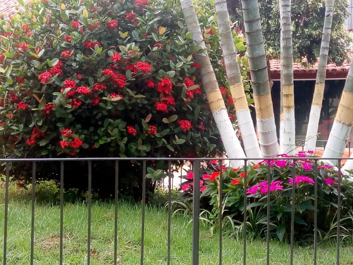 Casinhas Interior Mg Villa Antonio Prado de Minas Екстериор снимка