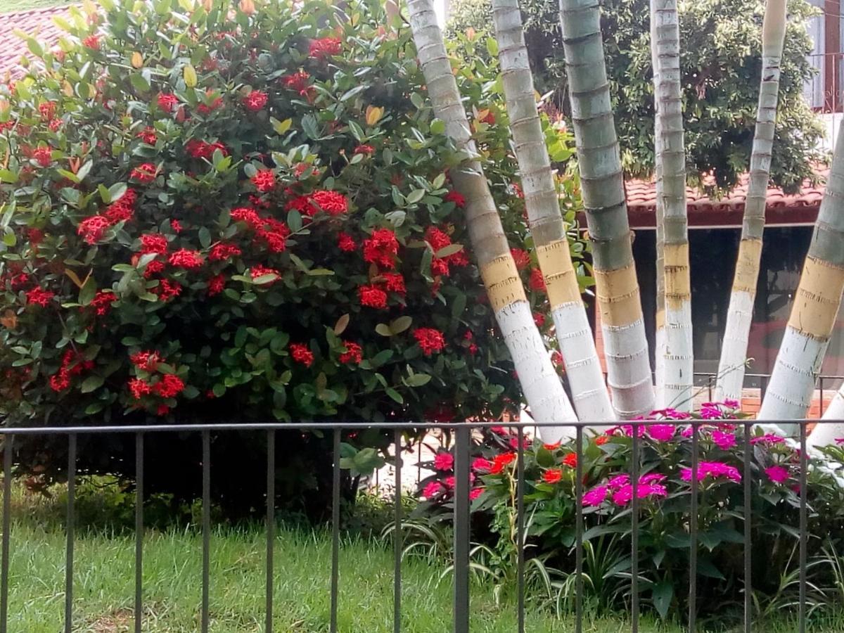 Casinhas Interior Mg Villa Antonio Prado de Minas Екстериор снимка